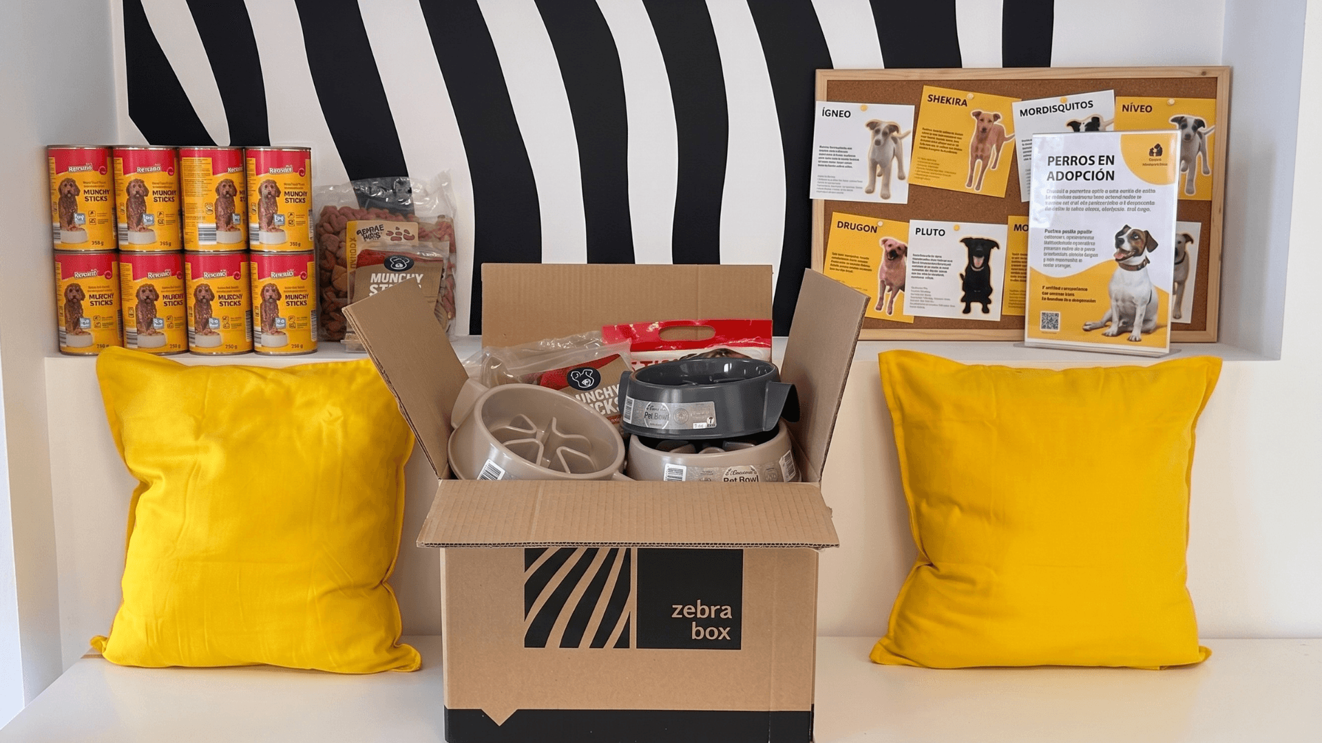 Iniciativa solidaria con Amigos Peludos Bajo Cinca