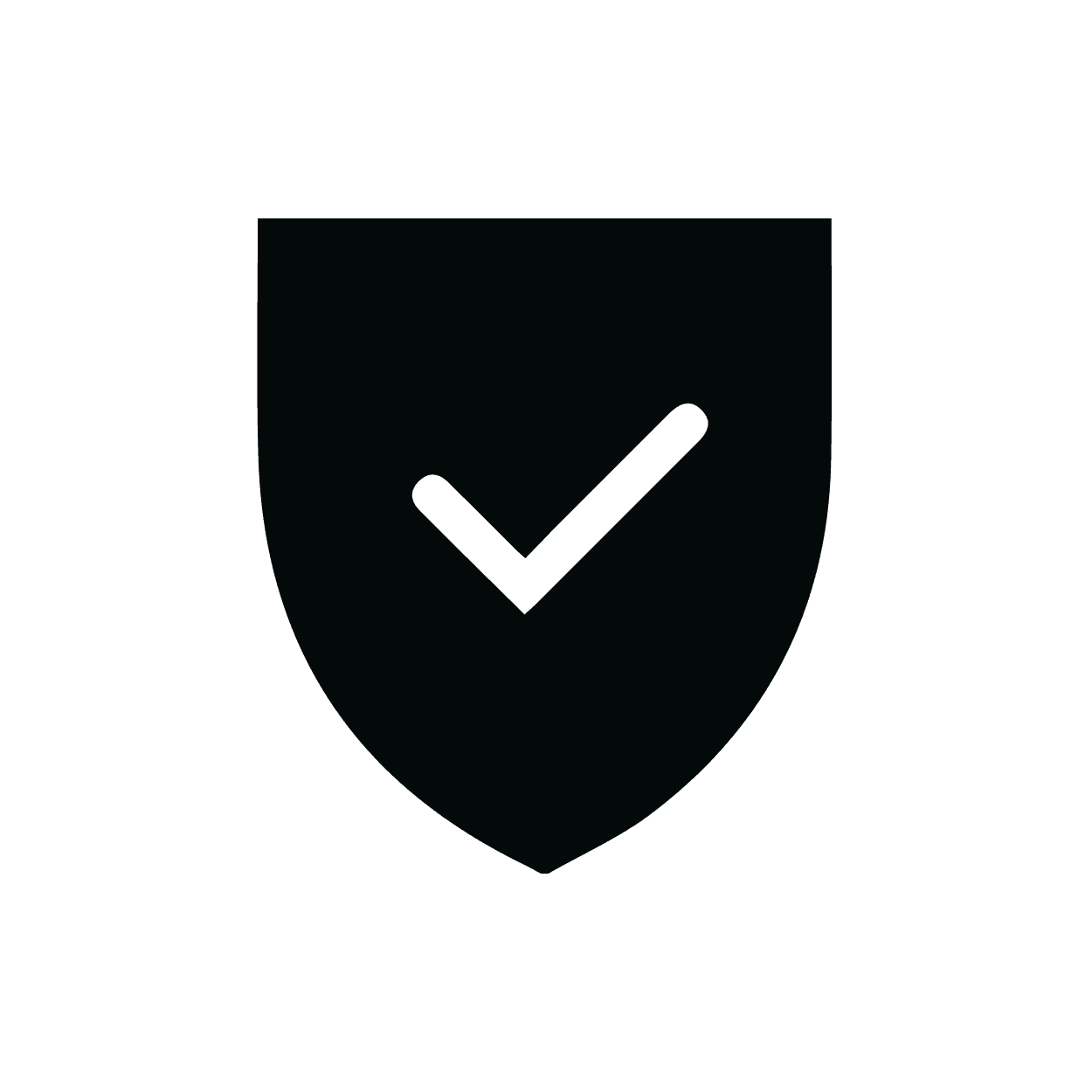 Icon for security